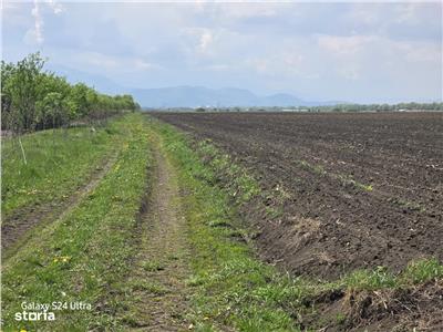 Oportunitate de investiție cu Exclusivitate! BOD, teren agricol!